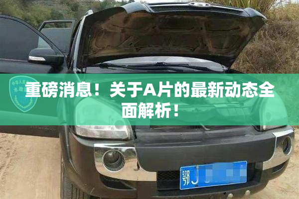 重磅消息！关于A片的最新动态全面解析！