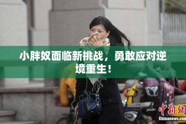 小胖奴面临新挑战，勇敢应对逆境重生！