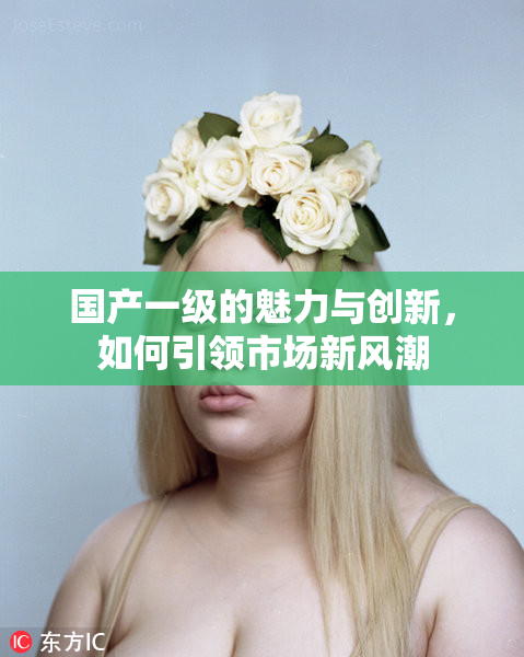 国产一级的魅力与创新，如何引领市场新风潮