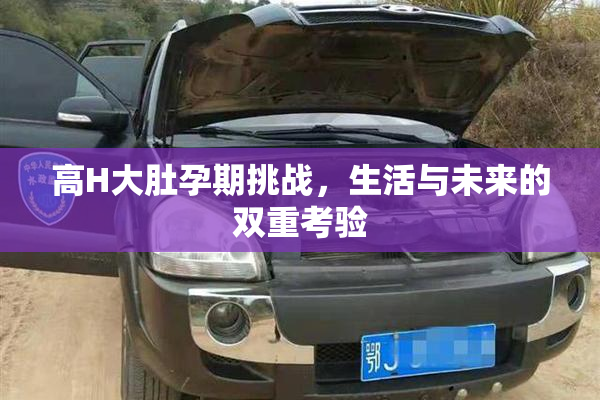 高H大肚孕期挑战，生活与未来的双重考验
