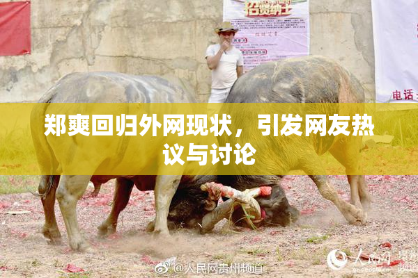 郑爽回归外网现状，引发网友热议与讨论