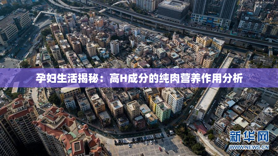 孕妇生活揭秘：高H成分的纯肉营养作用分析
