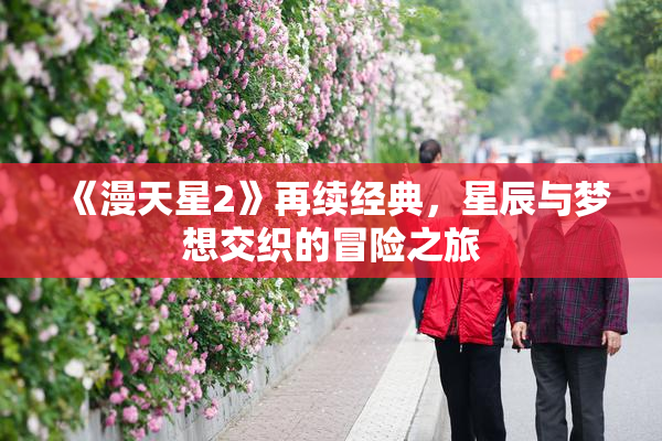 《漫天星2》再续经典，星辰与梦想交织的冒险之旅