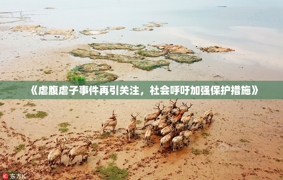 《虐腹虐子事件再引关注，社会呼吁加强保护措施》