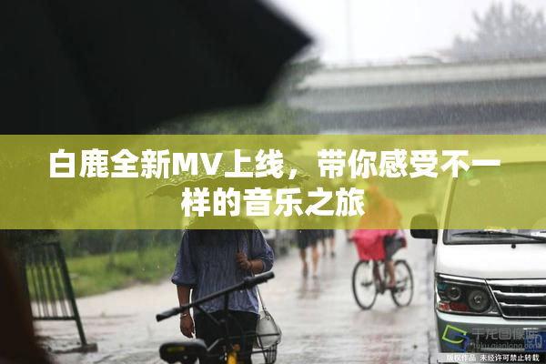 白鹿全新MV上线，带你感受不一样的音乐之旅