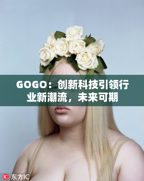 GOGO：创新科技引领行业新潮流，未来可期