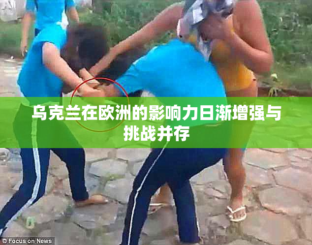 乌克兰在欧洲的影响力日渐增强与挑战并存