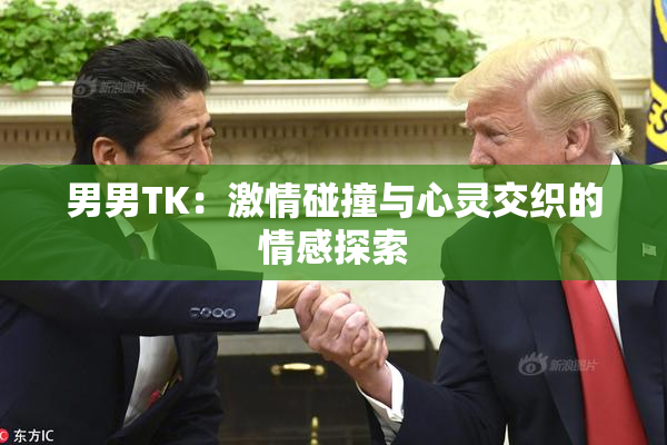 男男TK：激情碰撞与心灵交织的情感探索
