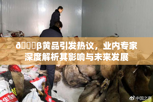 🔞β黄品引发热议，业内专家深度解析其影响与未来发展