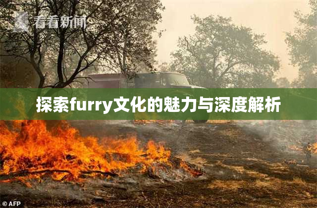 探索furry文化的魅力与深度解析