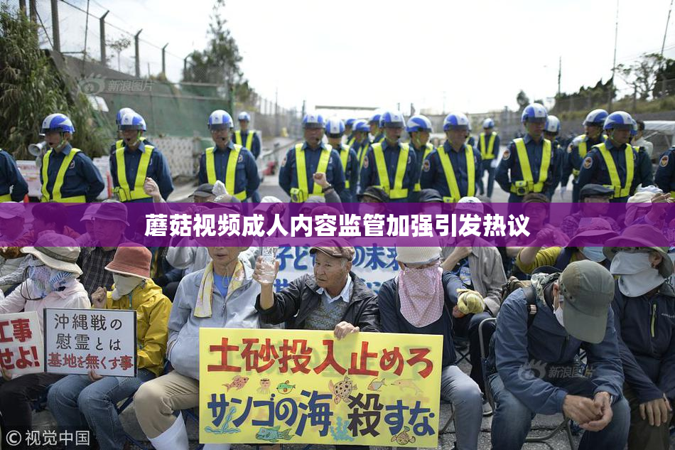 蘑菇视频成人内容监管加强引发热议