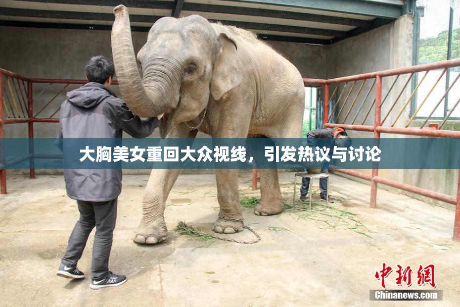 大胸美女重回大众视线，引发热议与讨论