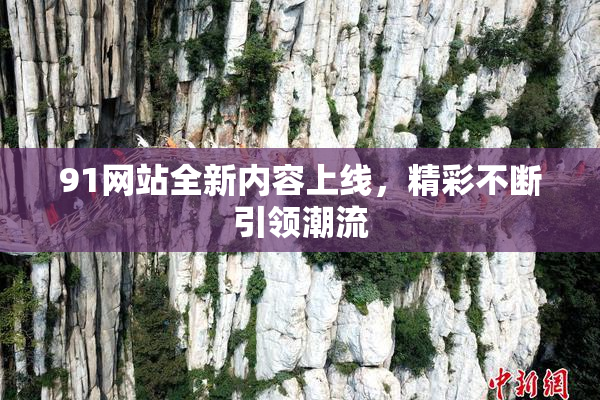 91网站全新内容上线，精彩不断引领潮流