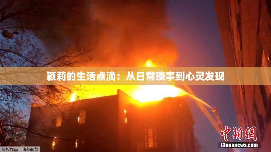颖莉的生活点滴：从日常琐事到心灵发现