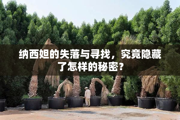 纳西妲的失落与寻找，究竟隐藏了怎样的秘密？