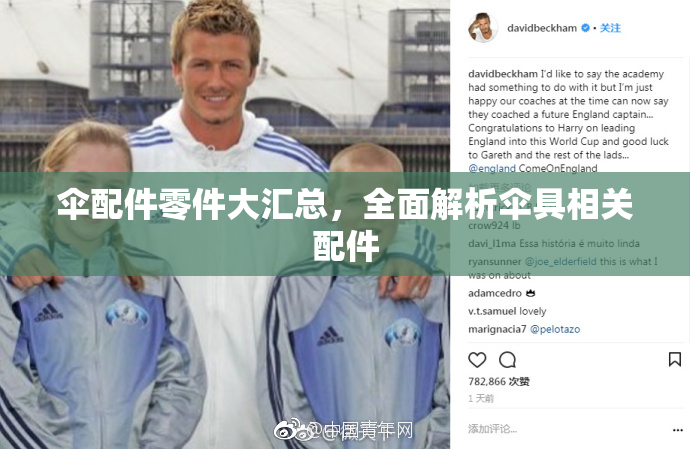 伞配件零件大汇总，全面解析伞具相关配件