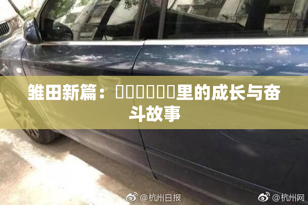 雏田新篇：❌‌❌‌❌‌里的成长与奋斗故事