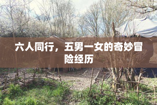 六人同行，五男一女的奇妙冒险经历