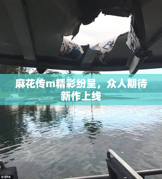 麻花传m精彩纷呈，众人期待新作上线