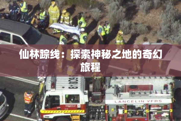 仙林踪线：探索神秘之地的奇幻旅程