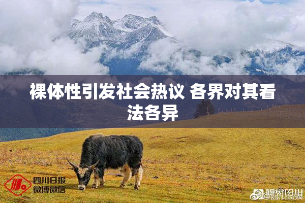 裸体性引发社会热议 各界对其看法各异