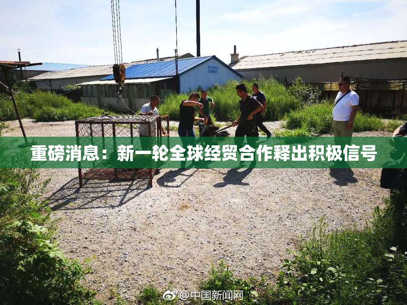 重磅消息：新一轮全球经贸合作释出积极信号