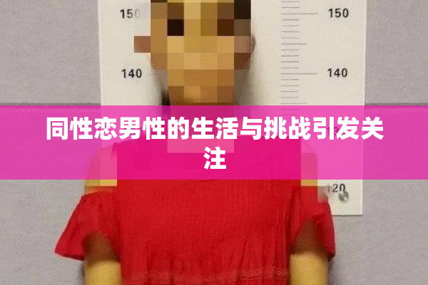 同性恋男性的生活与挑战引发关注