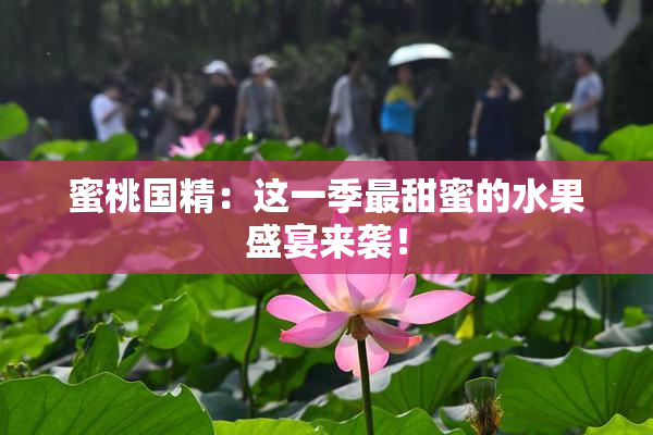 蜜桃国精：这一季最甜蜜的水果盛宴来袭！