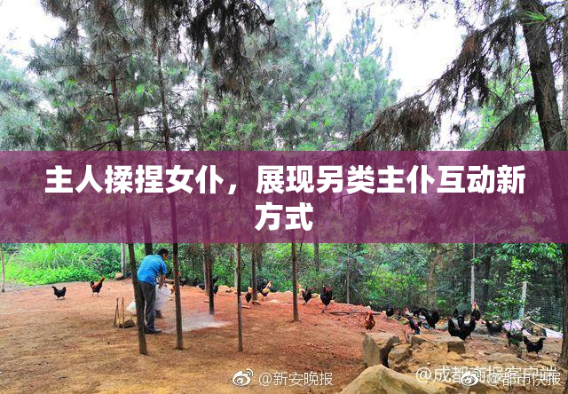 主人揉捏女仆，展现另类主仆互动新方式