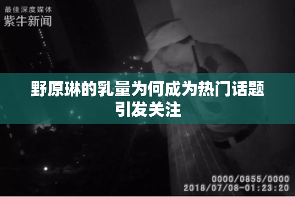 野原琳的乳量为何成为热门话题引发关注