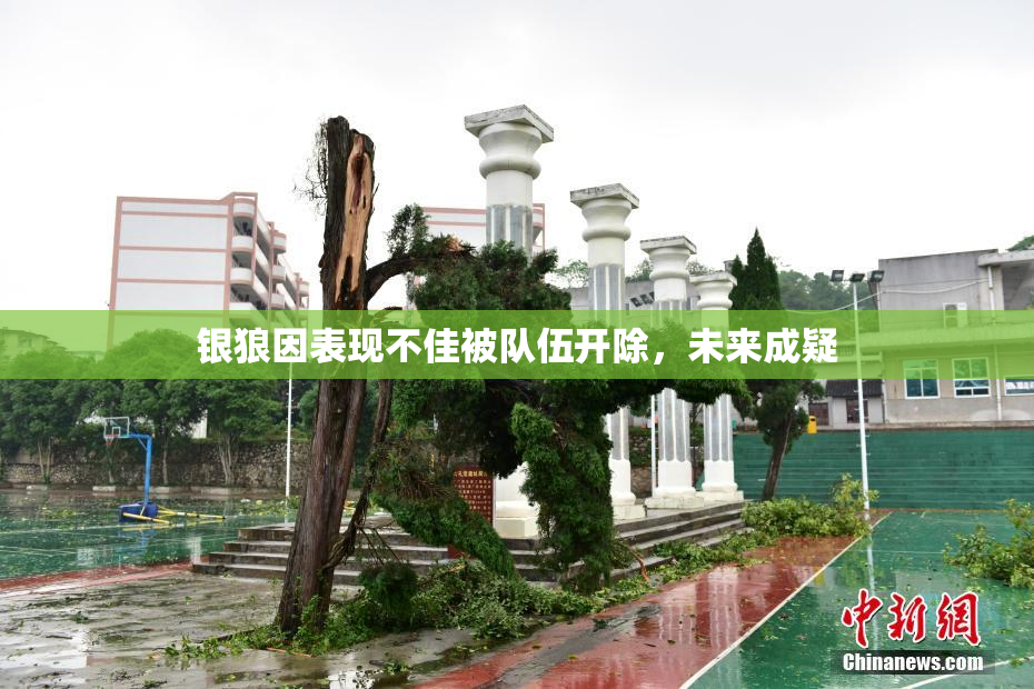 银狼因表现不佳被队伍开除，未来成疑