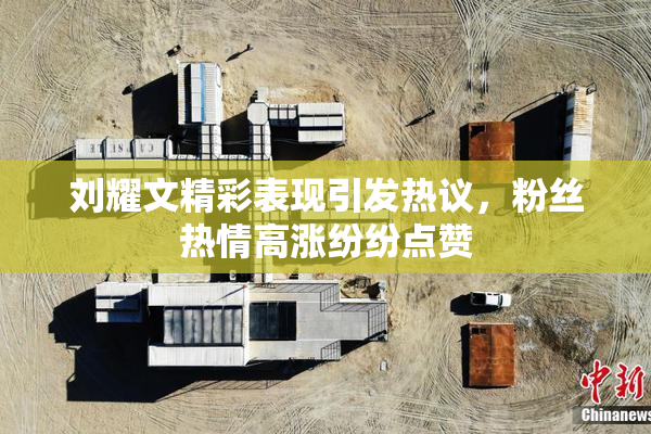 刘耀文精彩表现引发热议，粉丝热情高涨纷纷点赞