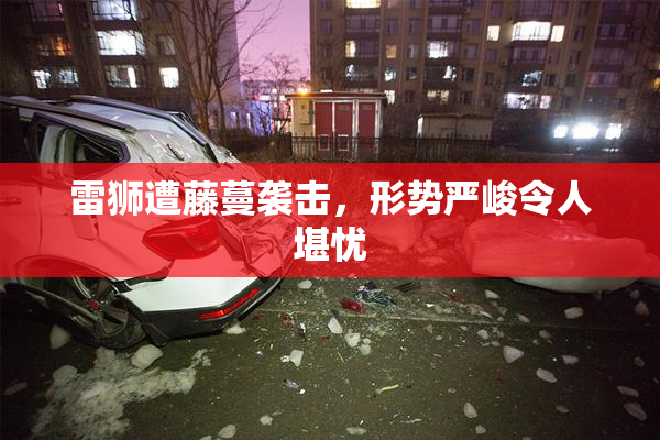 雷狮遭藤蔓袭击，形势严峻令人堪忧