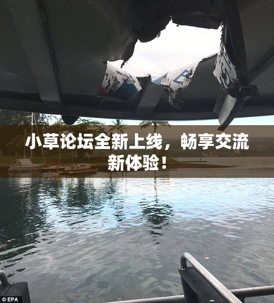 小草论坛全新上线，畅享交流新体验！
