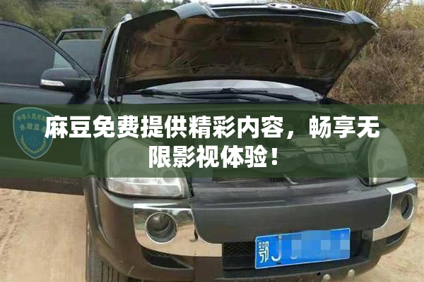 麻豆免费提供精彩内容，畅享无限影视体验！