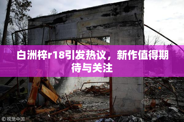 白洲梓r18引发热议，新作值得期待与关注