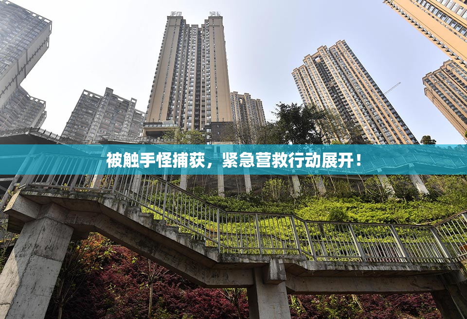 被触手怪捕获，紧急营救行动展开！