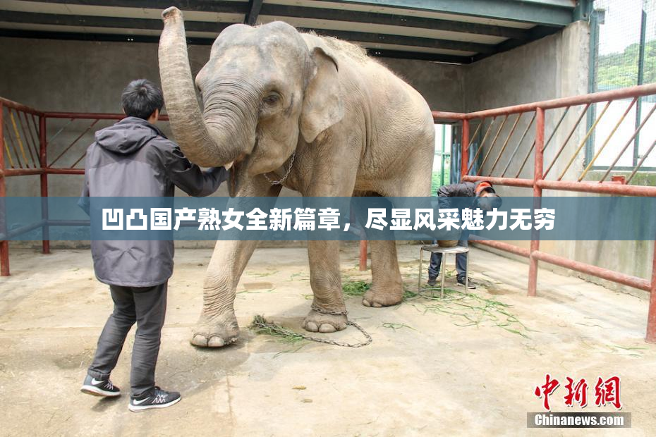 凹凸国产熟女全新篇章，尽显风采魅力无穷