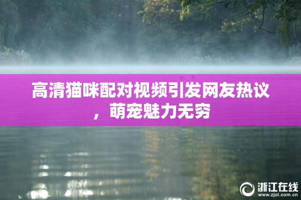 高清猫咪配对视频引发网友热议，萌宠魅力无穷