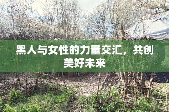 黑人与女性的力量交汇，共创美好未来