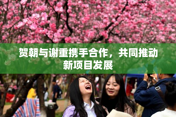 贺朝与谢重携手合作，共同推动新项目发展