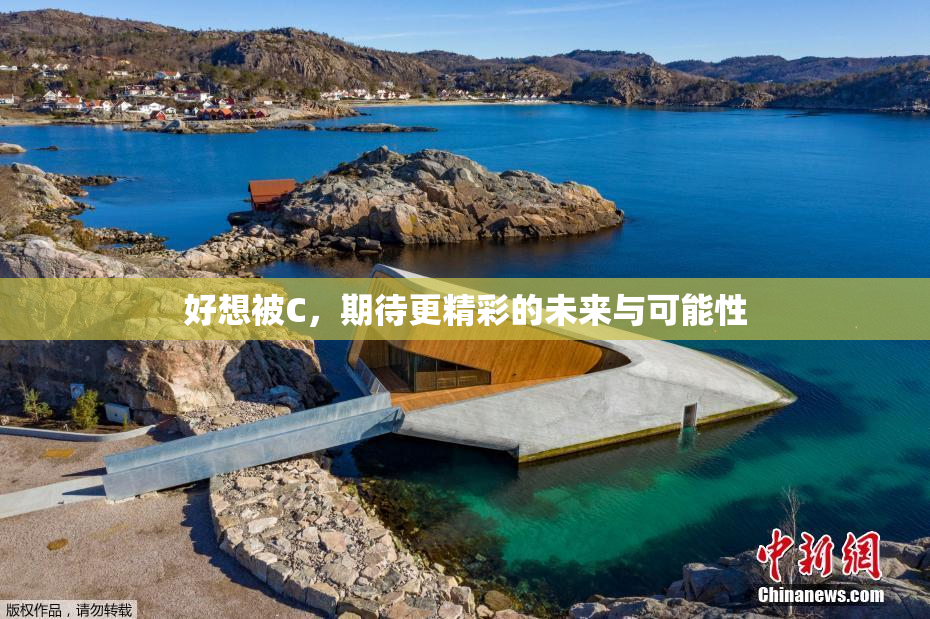 好想被C，期待更精彩的未来与可能性