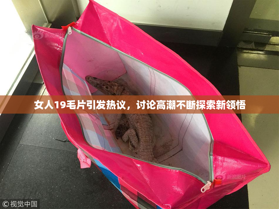 女人19毛片引发热议，讨论高潮不断探索新领悟