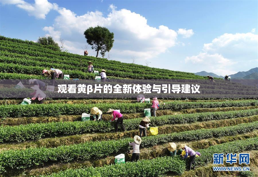 观看黄β片的全新体验与引导建议