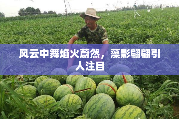 风云中舞焰火蔚然，藻影翩翩引人注目