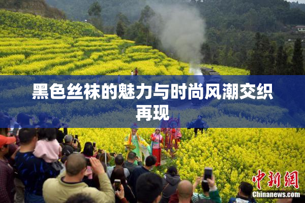黑色丝袜的魅力与时尚风潮交织再现