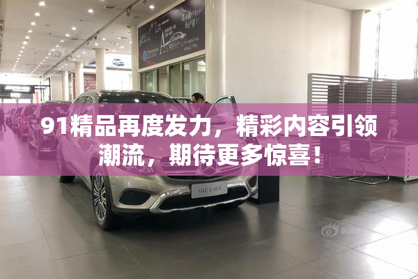 91精品再度发力，精彩内容引领潮流，期待更多惊喜！