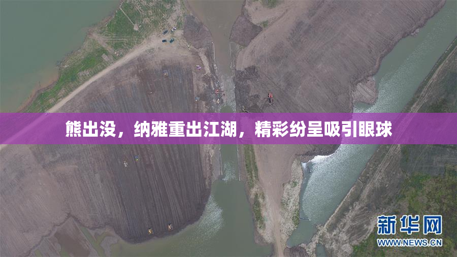熊出没，纳雅重出江湖，精彩纷呈吸引眼球