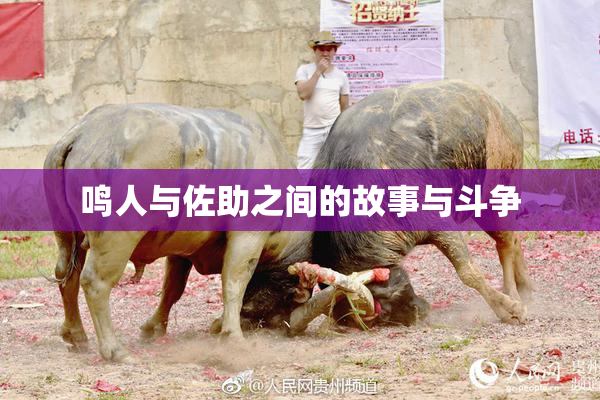 鸣人与佐助之间的故事与斗争
