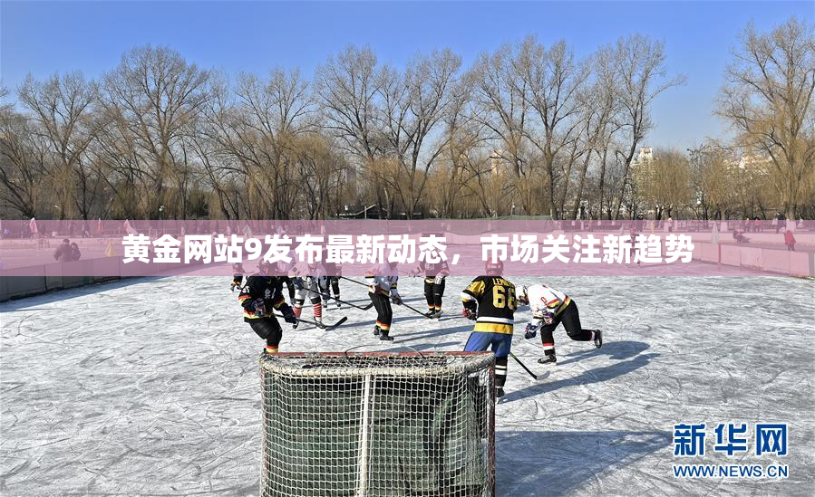黄金网站9发布最新动态，市场关注新趋势